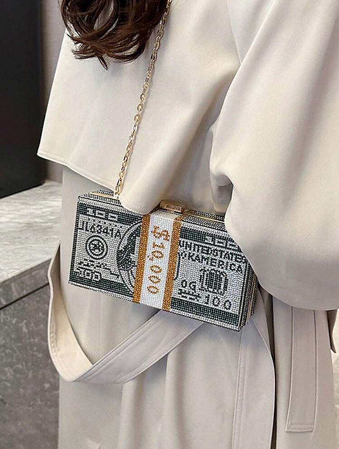 Dollar Bills Purse